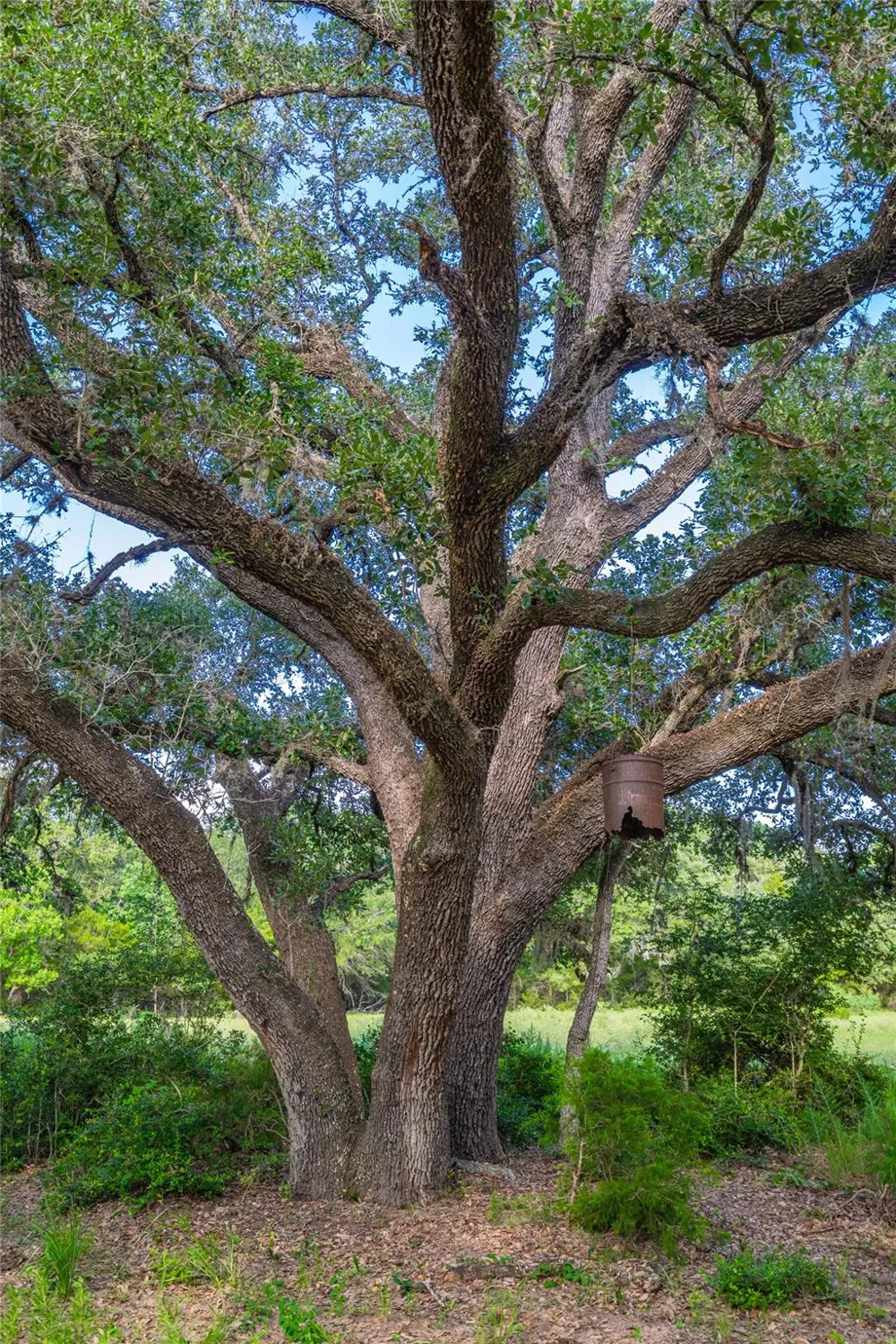 County Road 146 Hallettsville, TX 77964