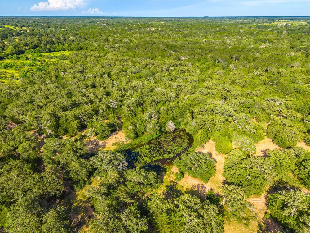County Road 146 Hallettsville, TX 77964