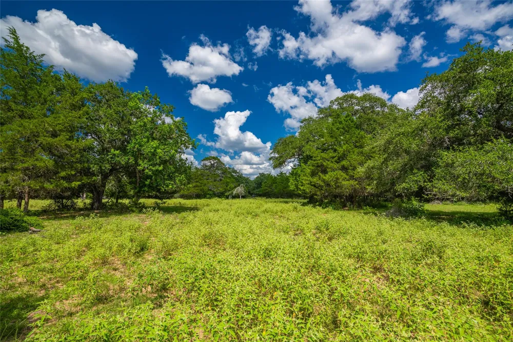 County Road 146 Hallettsville, TX 77964