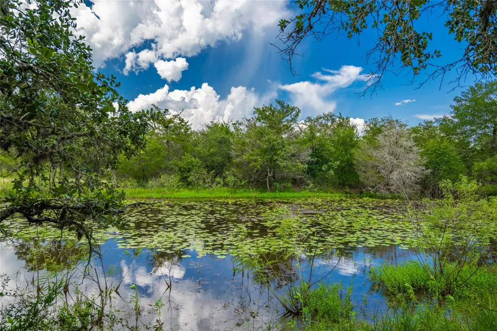 County Road 146 Hallettsville, TX 77964