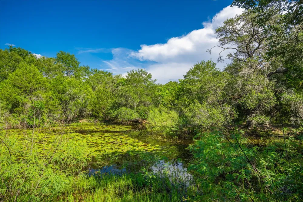 County Road 146 Hallettsville, TX 77964