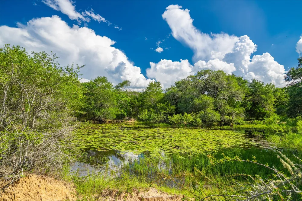 County Road 146 Hallettsville, TX 77964