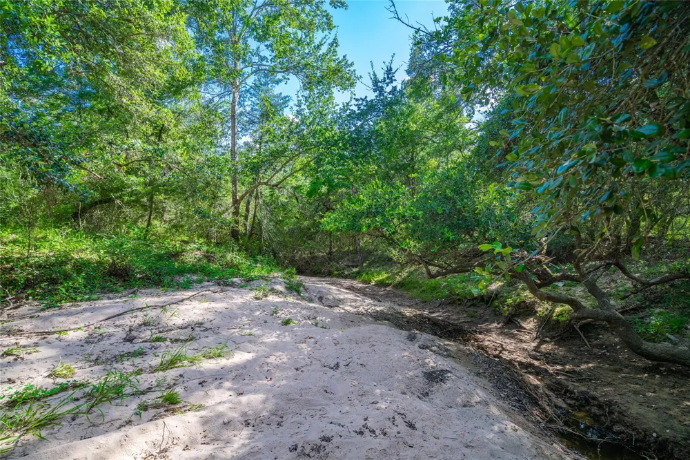 County Road 146 Hallettsville, TX 77964