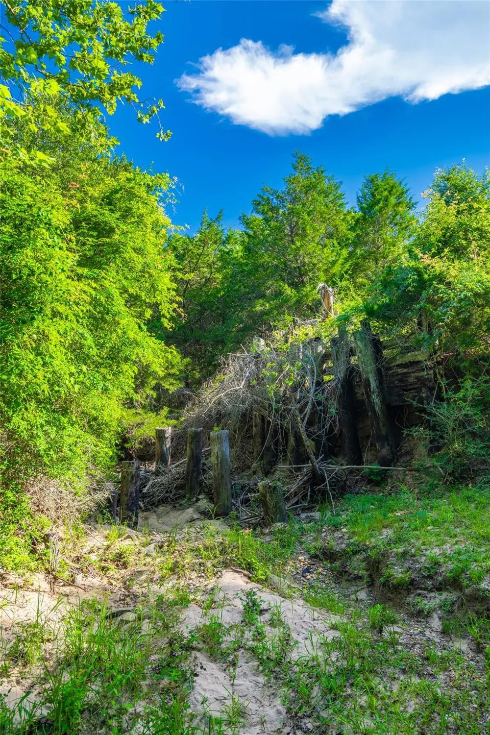County Road 146 Hallettsville, TX 77964