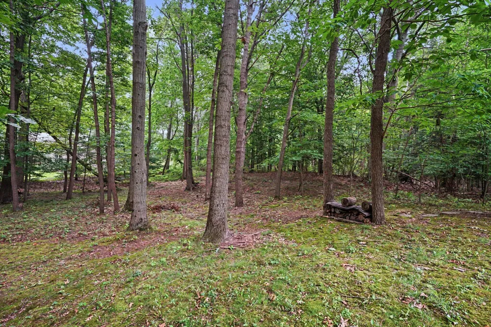 3334 Clearview Lane Saugatuck, MI 49453