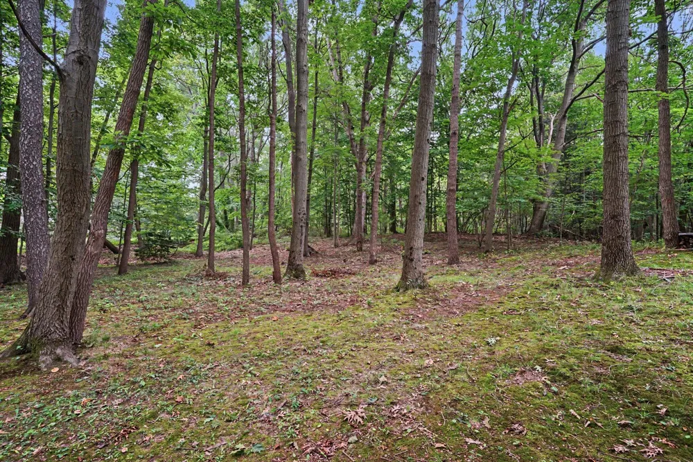 3334 Clearview Lane Saugatuck, MI 49453