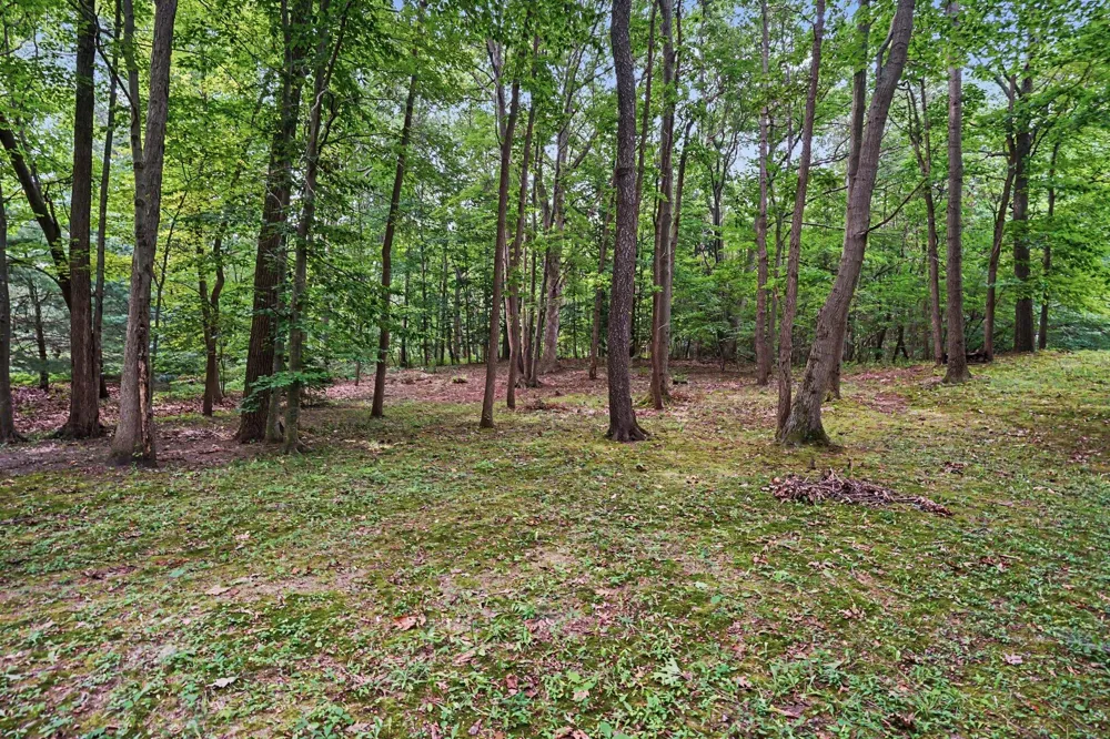 3334 Clearview Lane Saugatuck, MI 49453