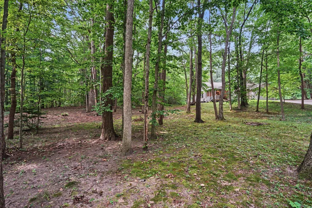 3334 Clearview Lane Saugatuck, MI 49453