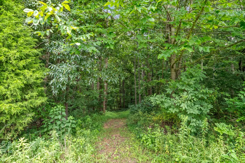 3055 Quisenberry Ln Hopkinsville, KY 42240