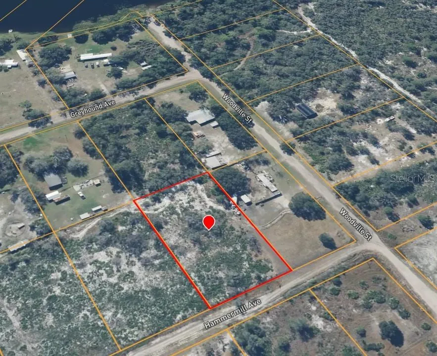 HAMMERMILL AVENUE Lake Wales, FL 33859