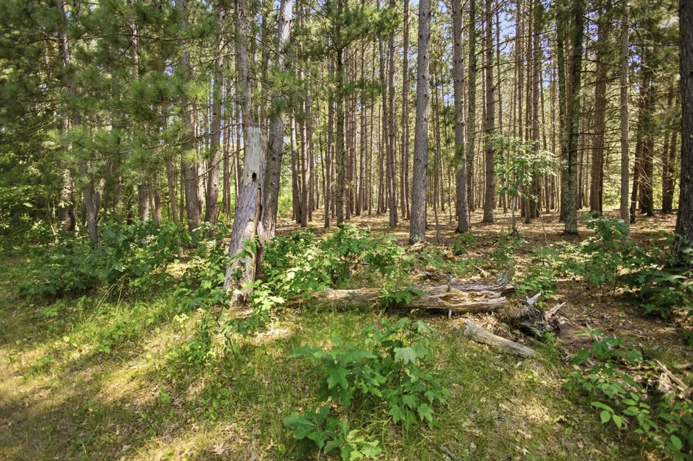 26670 Foxes Landing Road Grantsburg, WI 54840