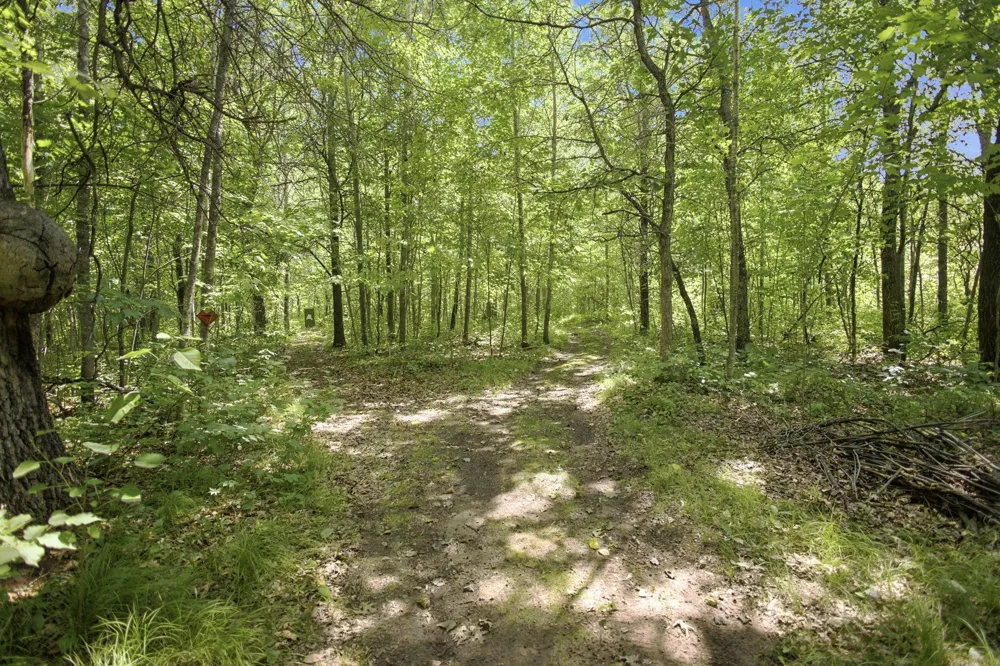26670 Foxes Landing Road Grantsburg, WI 54840