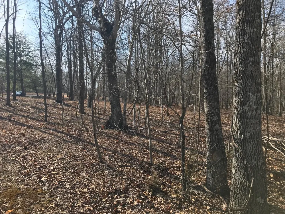 504 Wilderness Way Dunlap, TN 37327