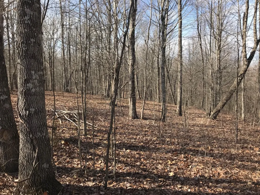 504 Wilderness Way Dunlap, TN 37327