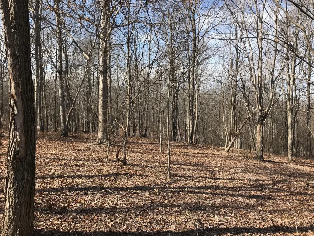 504 Wilderness Way Dunlap, TN 37327