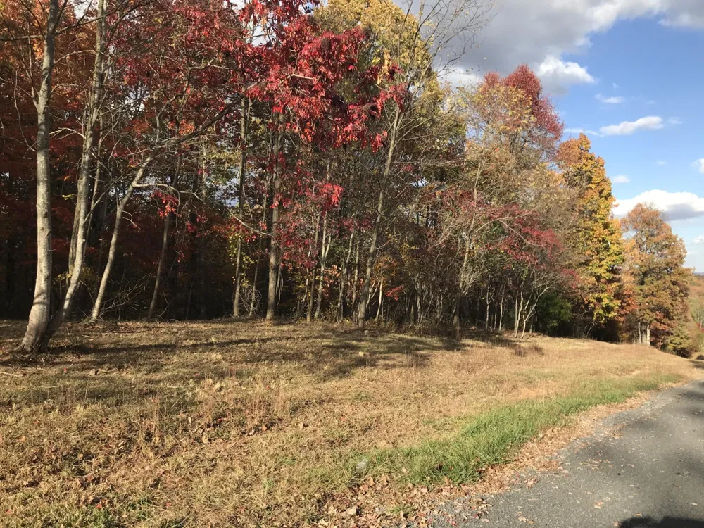504 Wilderness Way Dunlap, TN 37327