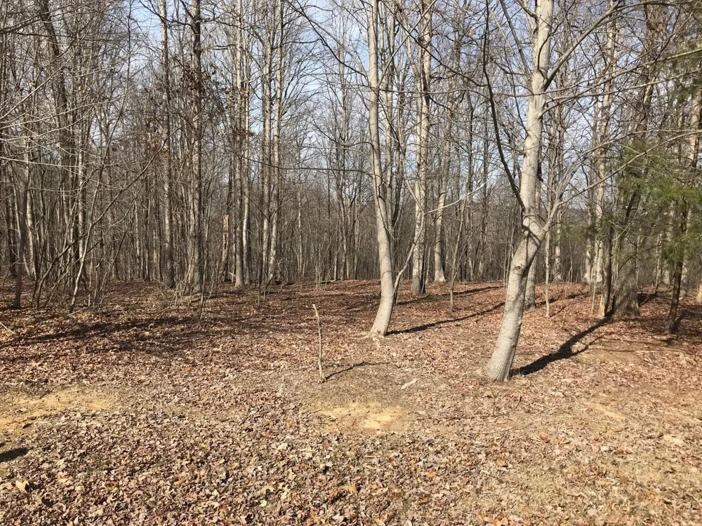 504 Wilderness Way Dunlap, TN 37327