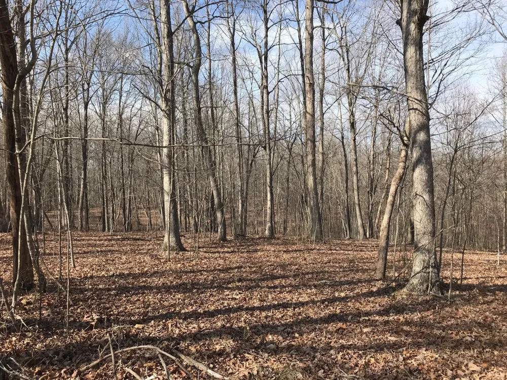 504 Wilderness Way Dunlap, TN 37327