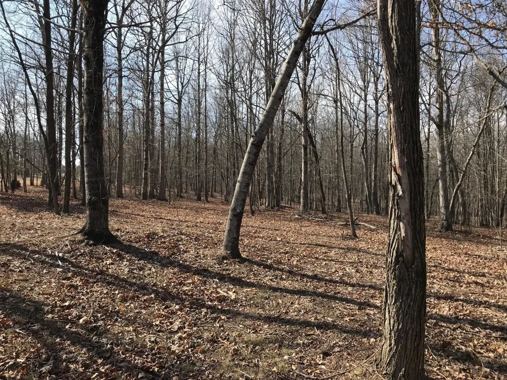 504 Wilderness Way Dunlap, TN 37327