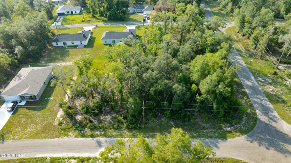 48 Fisher Lane Course Ocklawaha, FL 32179