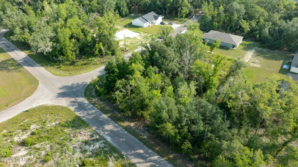 48 Fisher Lane Course Ocklawaha, FL 32179