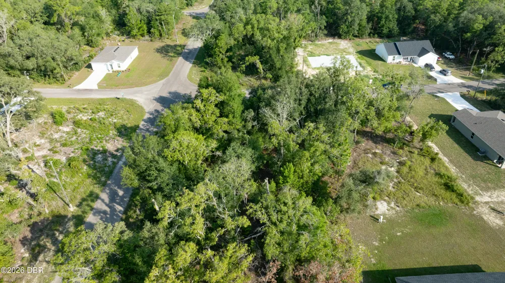 48 Fisher Lane Course Ocklawaha, FL 32179