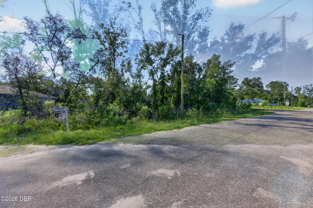 48 Fisher Lane Course Ocklawaha, FL 32179