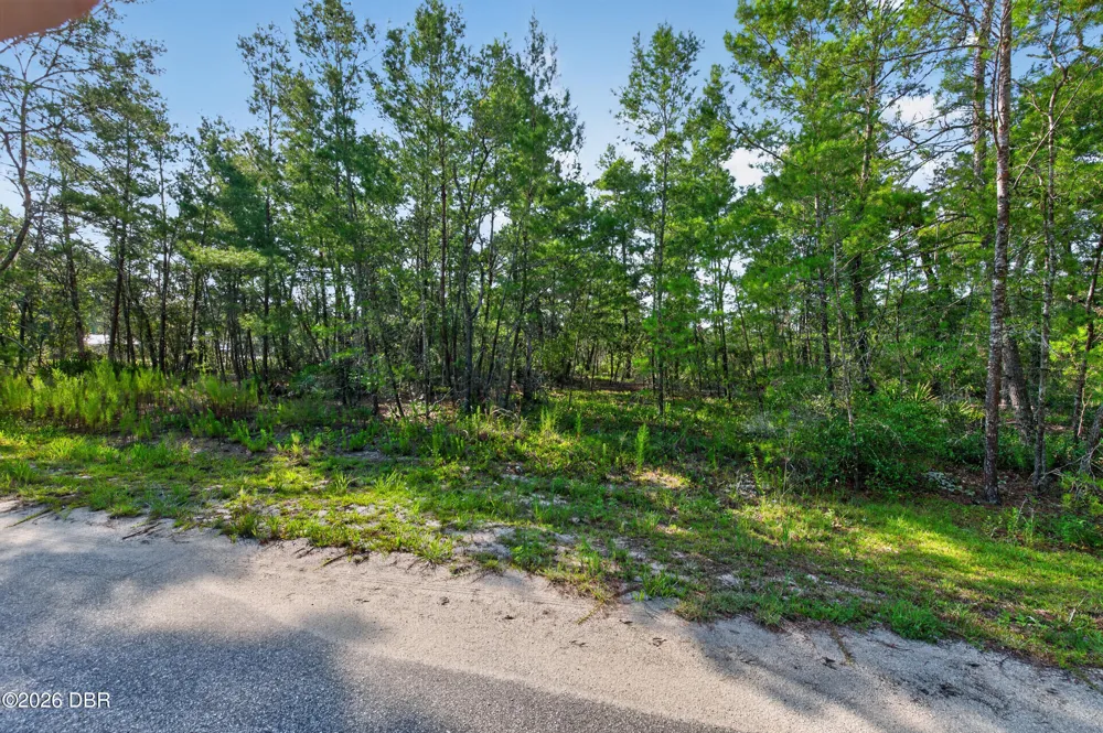 3 Guava Pass Ocklawaha, FL 32179