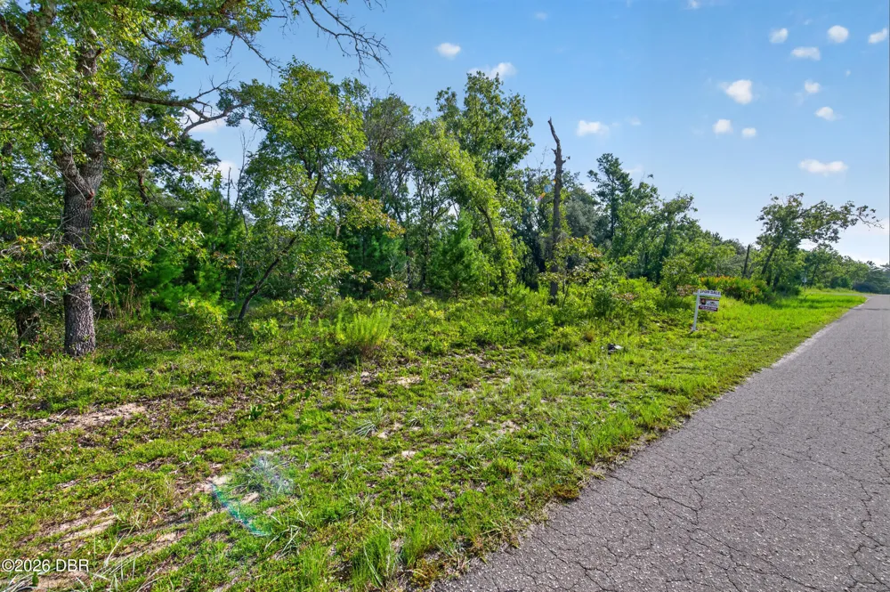 3 Guava Pass Ocklawaha, FL 32179
