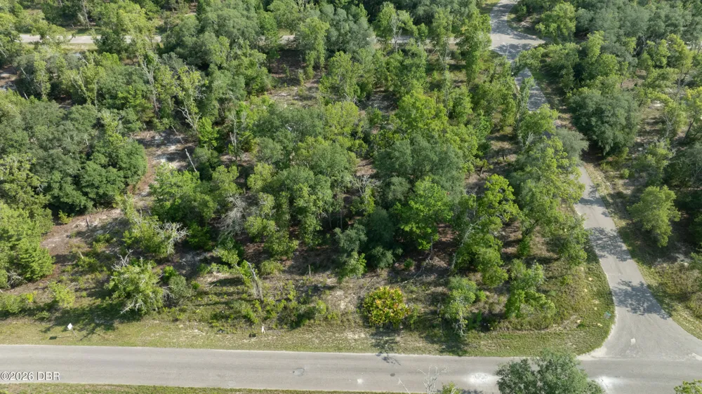 3 Guava Pass Ocklawaha, FL 32179