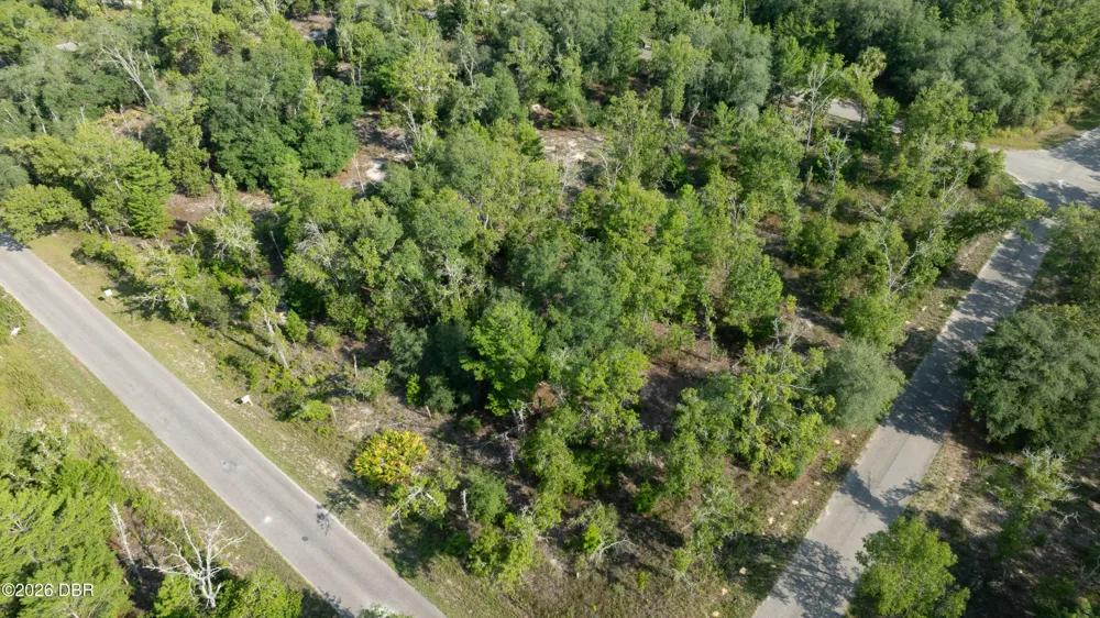 3 Guava Pass Ocklawaha, FL 32179