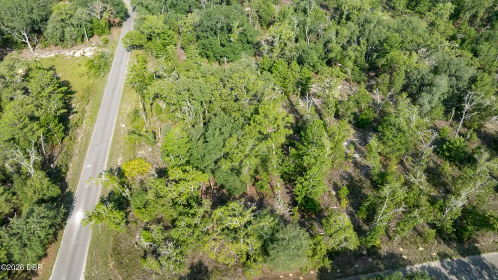 3 Guava Pass Ocklawaha, FL 32179