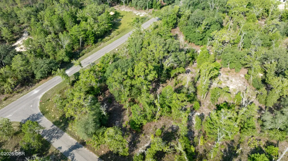 3 Guava Pass Ocklawaha, FL 32179