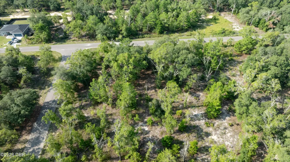 3 Guava Pass Ocklawaha, FL 32179