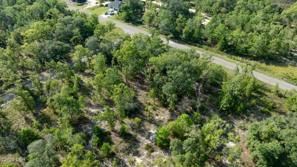 3 Guava Pass Ocklawaha, FL 32179