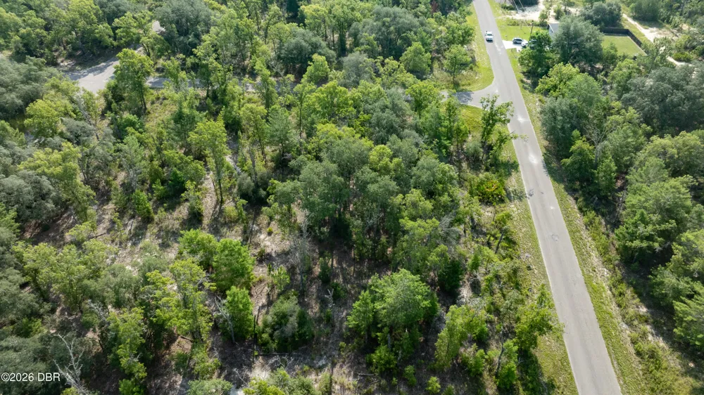 3 Guava Pass Ocklawaha, FL 32179