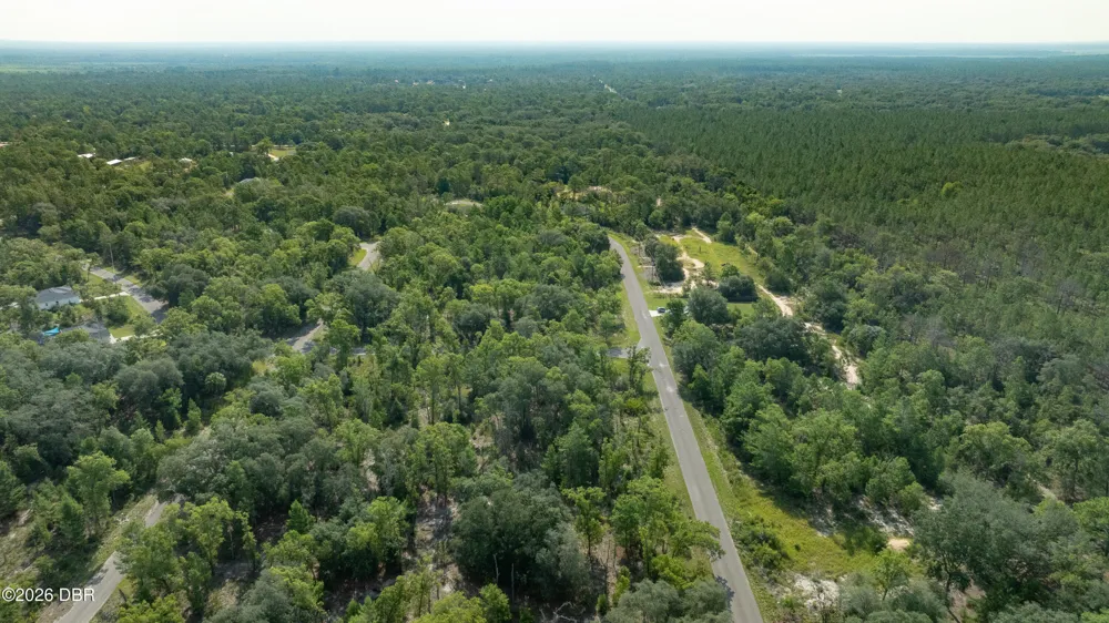 3 Guava Pass Ocklawaha, FL 32179