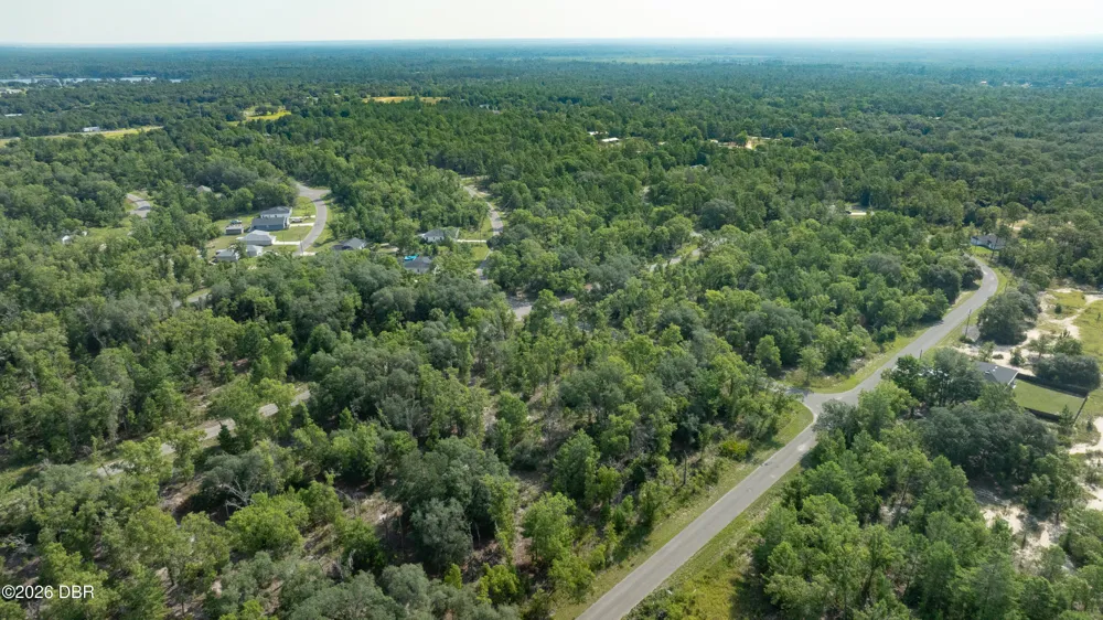 3 Guava Pass Ocklawaha, FL 32179