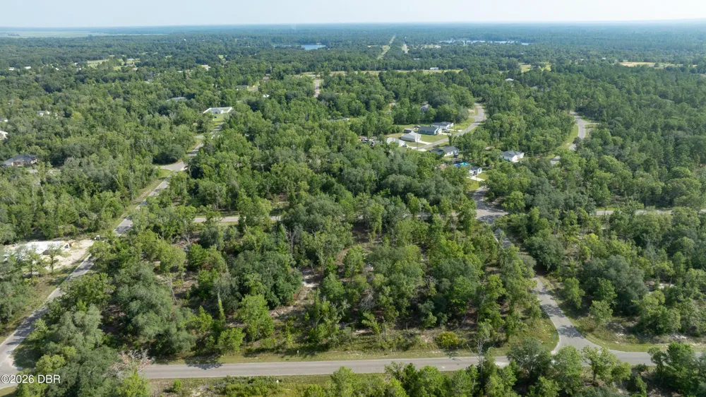 3 Guava Pass Ocklawaha, FL 32179