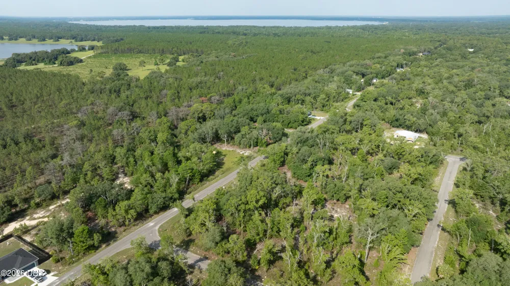 3 Guava Pass Ocklawaha, FL 32179