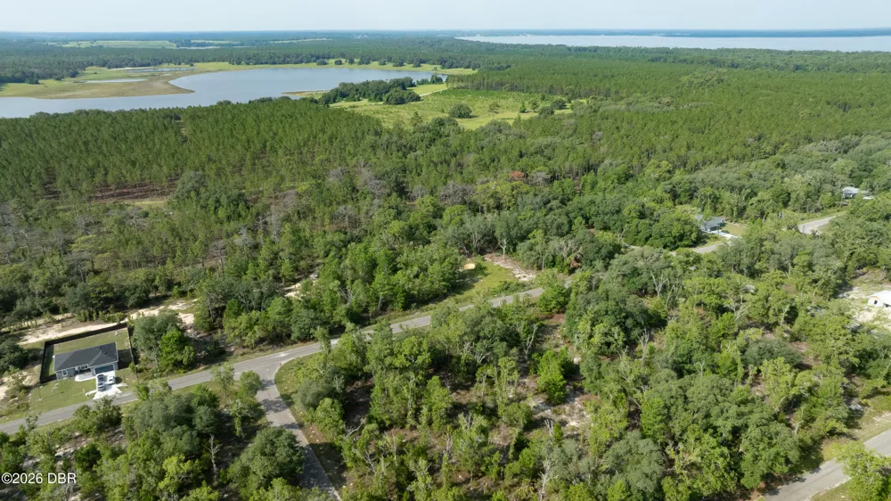 3 Guava Pass Ocklawaha, FL 32179