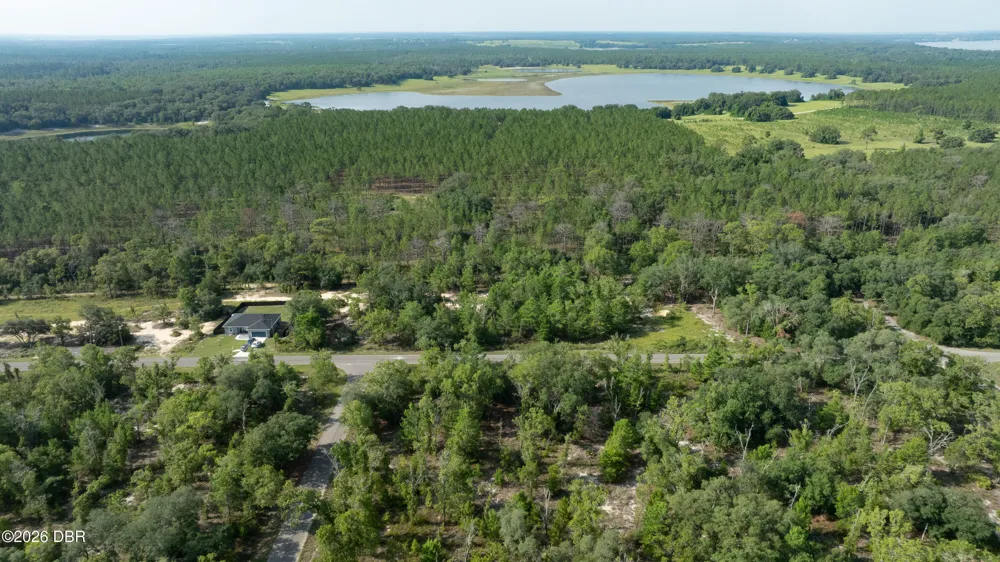 3 Guava Pass Ocklawaha, FL 32179