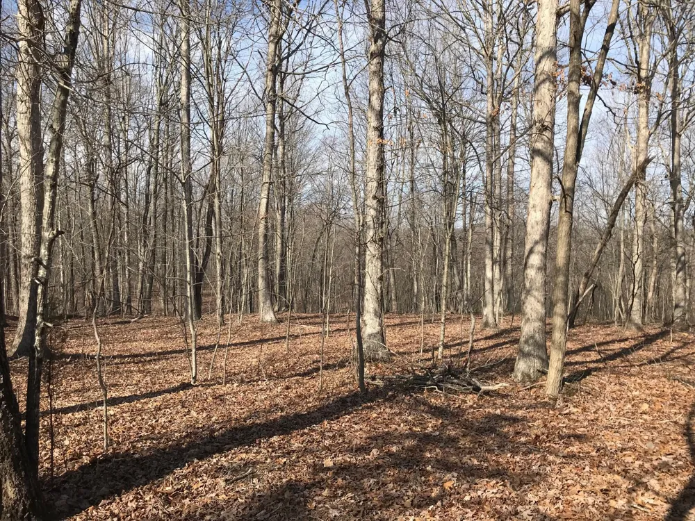 504 Wilderness Way Dunlap, TN 37327