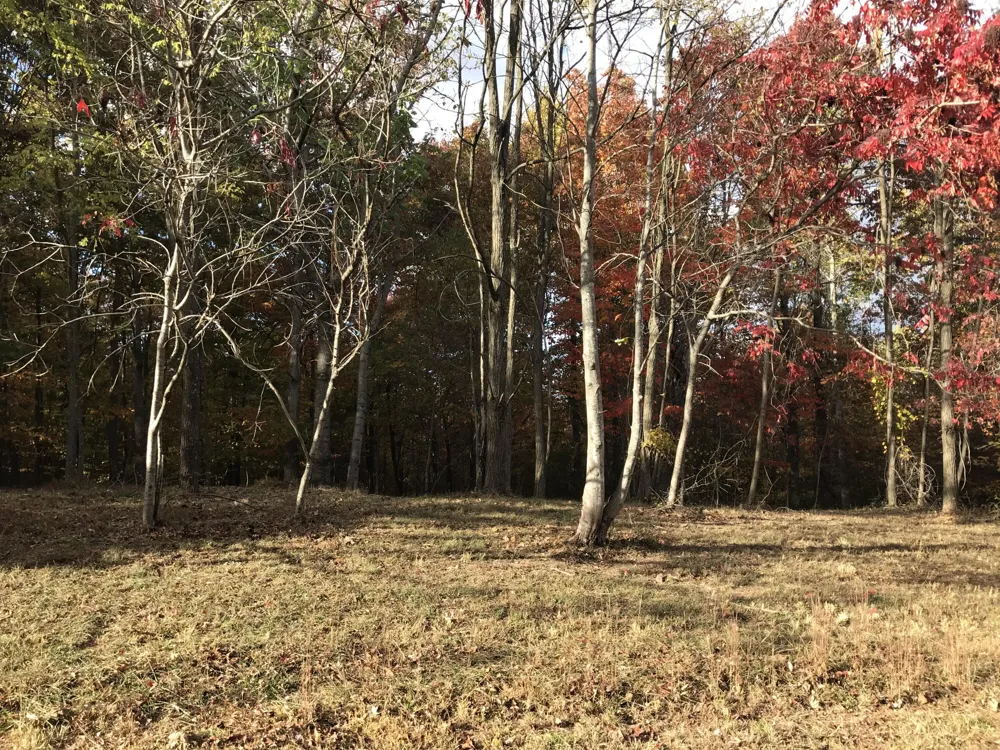 504 Wilderness Way Dunlap, TN 37327