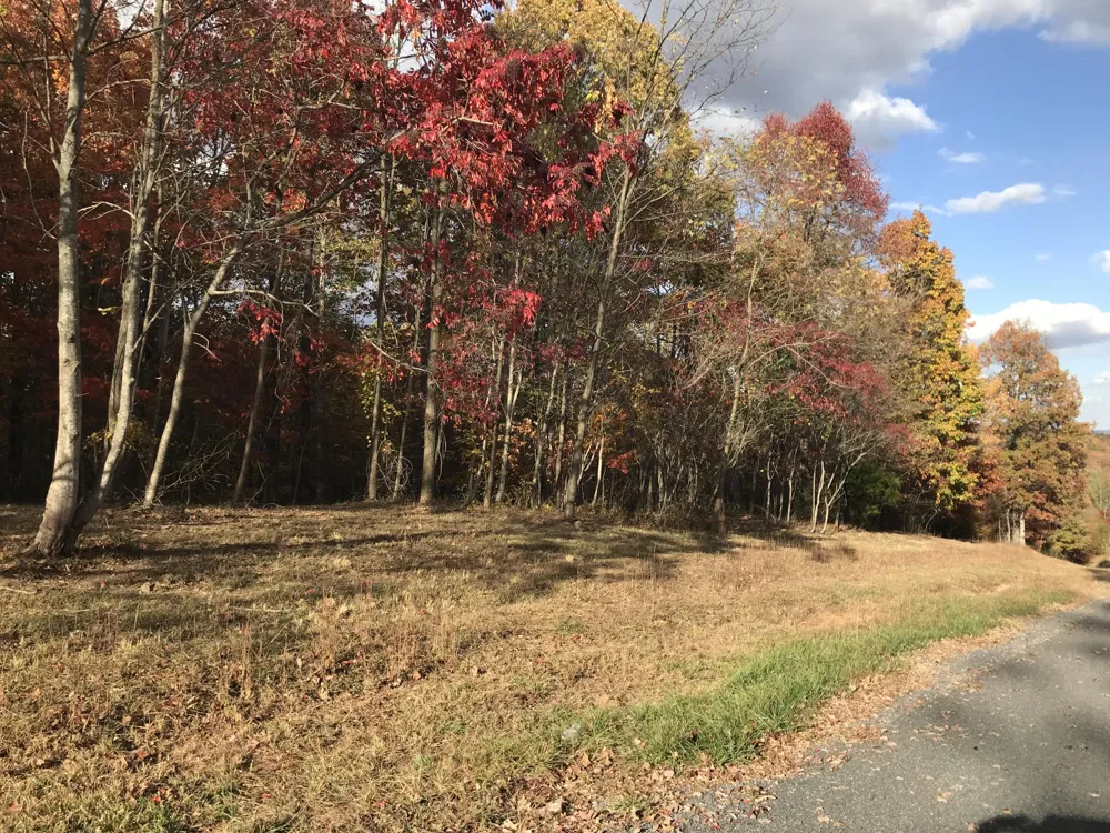 504 Wilderness Way Dunlap, TN 37327