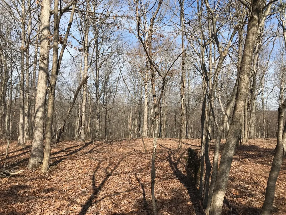 504 Wilderness Way Dunlap, TN 37327