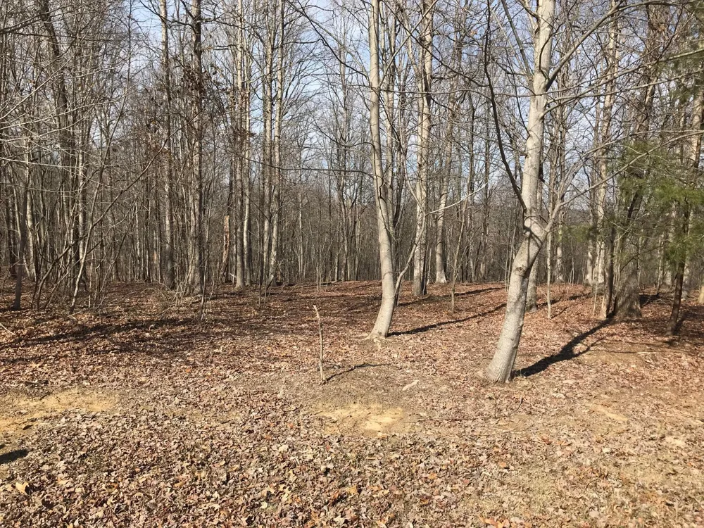 504 Wilderness Way Dunlap, TN 37327