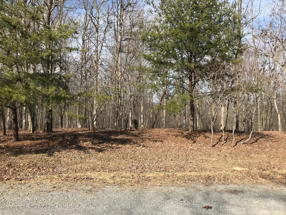 504 Wilderness Way Dunlap, TN 37327
