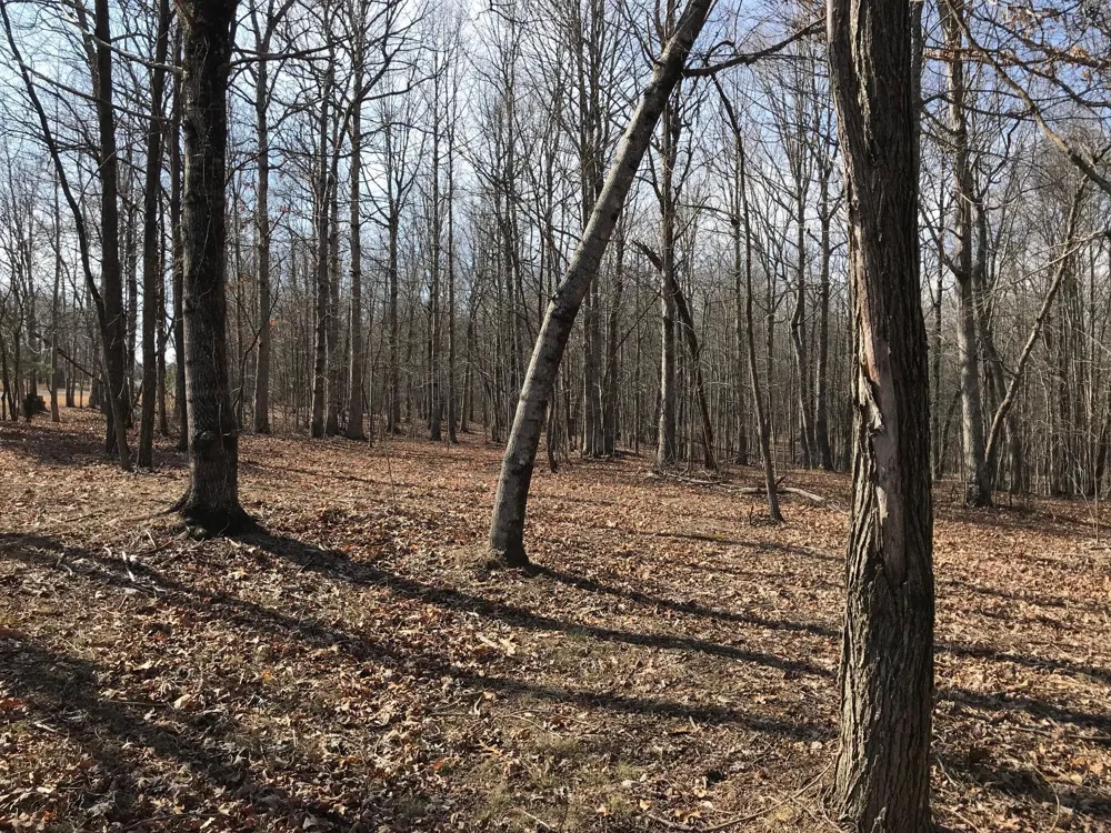 504 Wilderness Way Dunlap, TN 37327