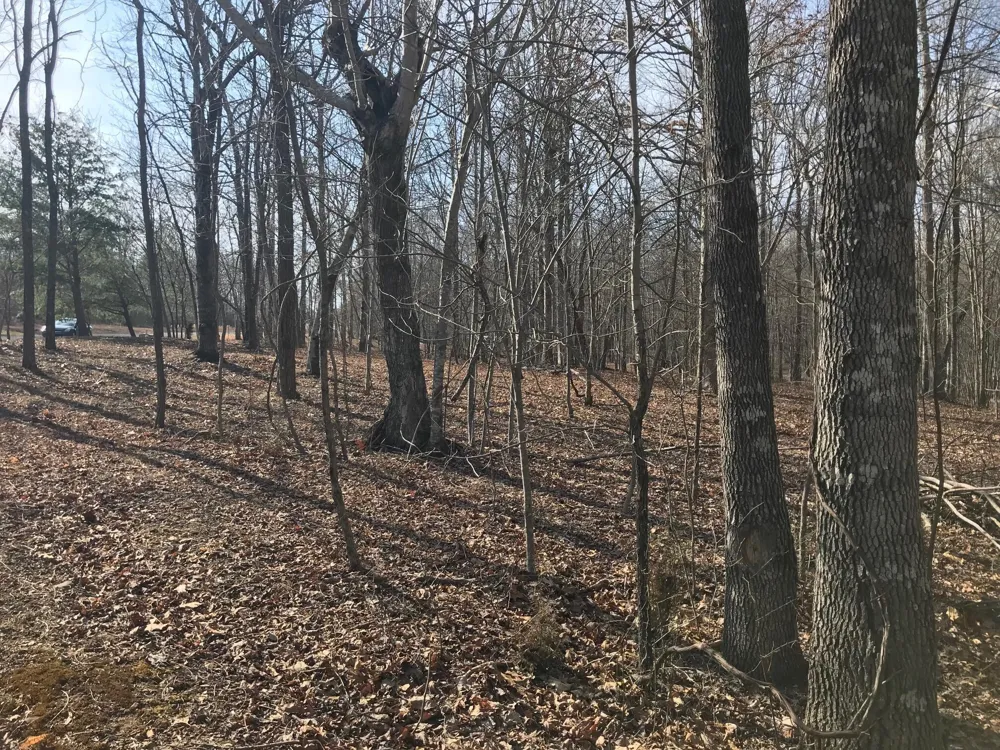 504 Wilderness Way Dunlap, TN 37327